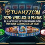 Pussy888 2026: Versi Asli & Pantas