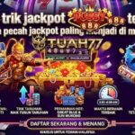 Tips & Trik Jackpot Pussy888 Terbaru